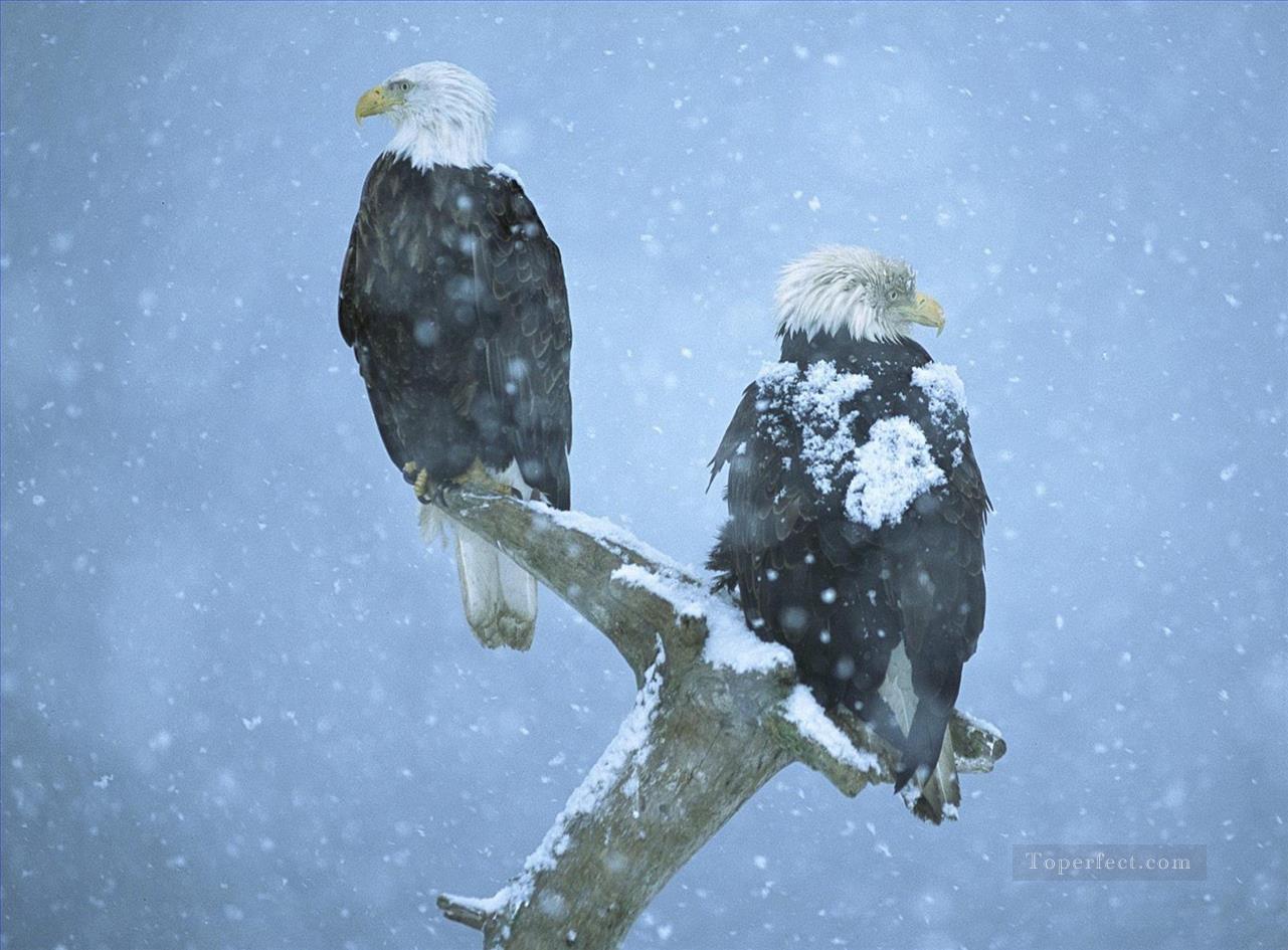 Adler im Schnee Vögel Ölgemälde